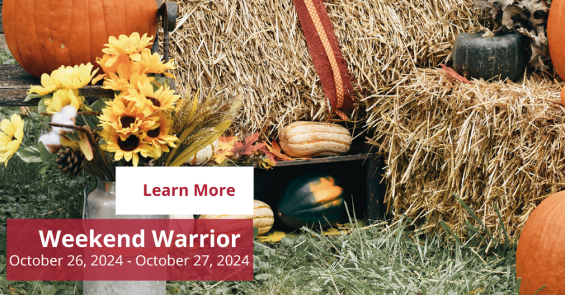 Weekend Warrior: October 26 - October 27, 2024 | Amy Jones Group